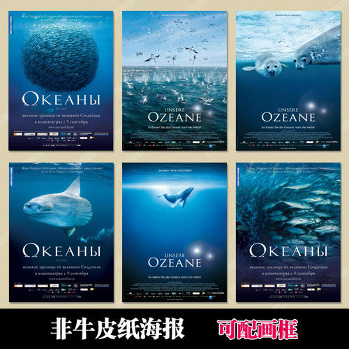 尼斯大学会计文凭证书